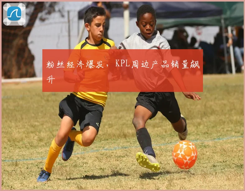 粉丝经济爆发，KPL周边产品销量飙升