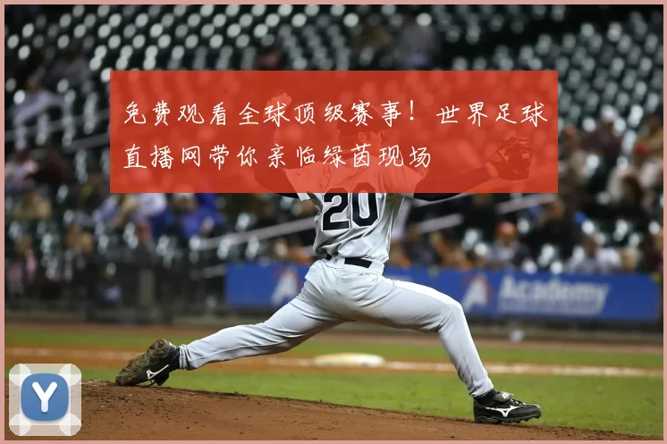 免费观看全球顶级赛事！世界足球直播网带你亲临绿茵现场