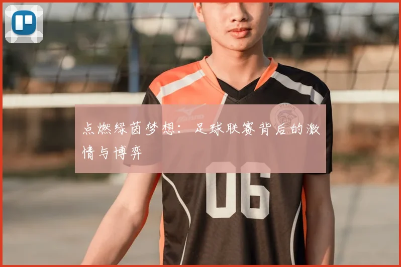 点燃绿茵梦想：足球联赛背后的激情与博弈