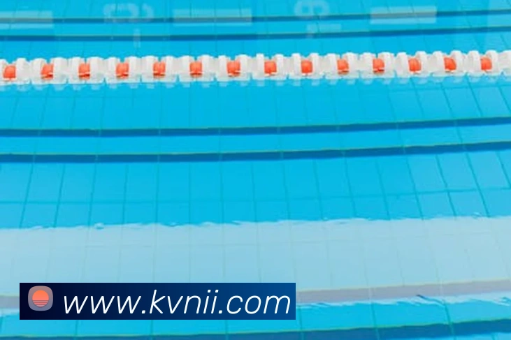 奖项图3